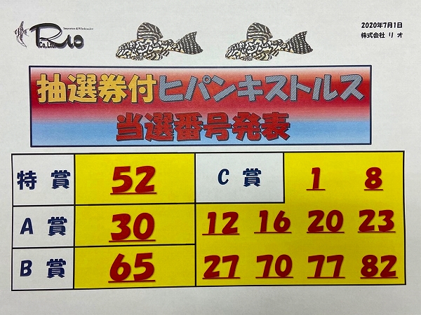 抽選券付ヒパンキストルス【当選番号発表】